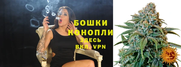 ПСИЛОЦИБИНОВЫЕ ГРИБЫ Белокуриха
