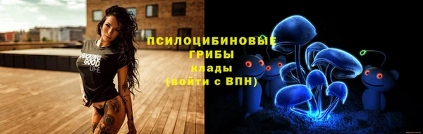 ПСИЛОЦИБИНОВЫЕ ГРИБЫ Белокуриха