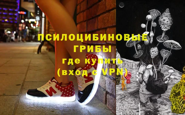 ПСИЛОЦИБИНОВЫЕ ГРИБЫ Белокуриха