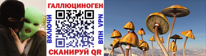 Галлюциногенные грибы Psilocybe хочу Чистополь