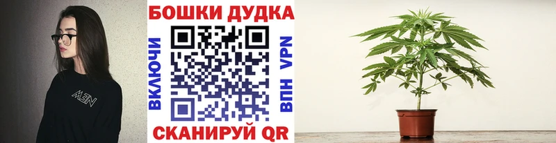Шишки марихуана конопля Чистополь